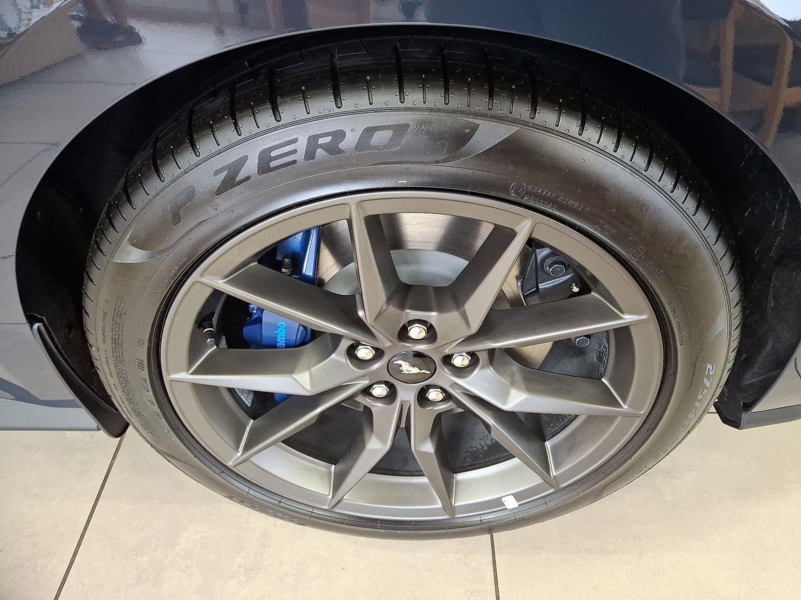 2025 Ford Mustang Dark Horse