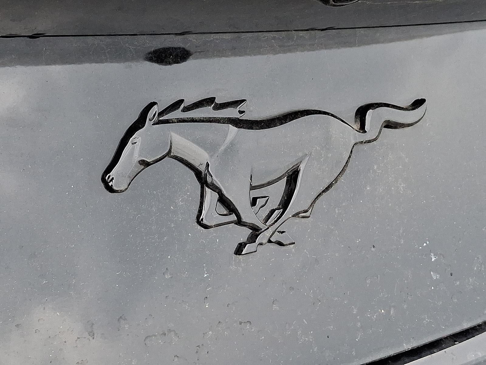 2025 Ford Mustang EcoBoost