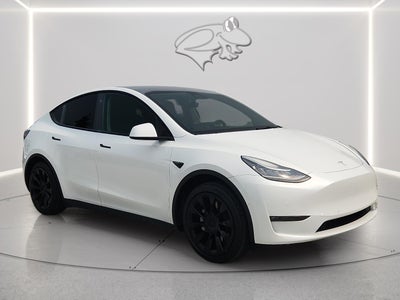 2021 Tesla Y Standard Range