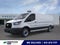 2026 Ford Transit T250
