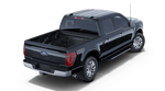 2025 Ford F-150 Lari