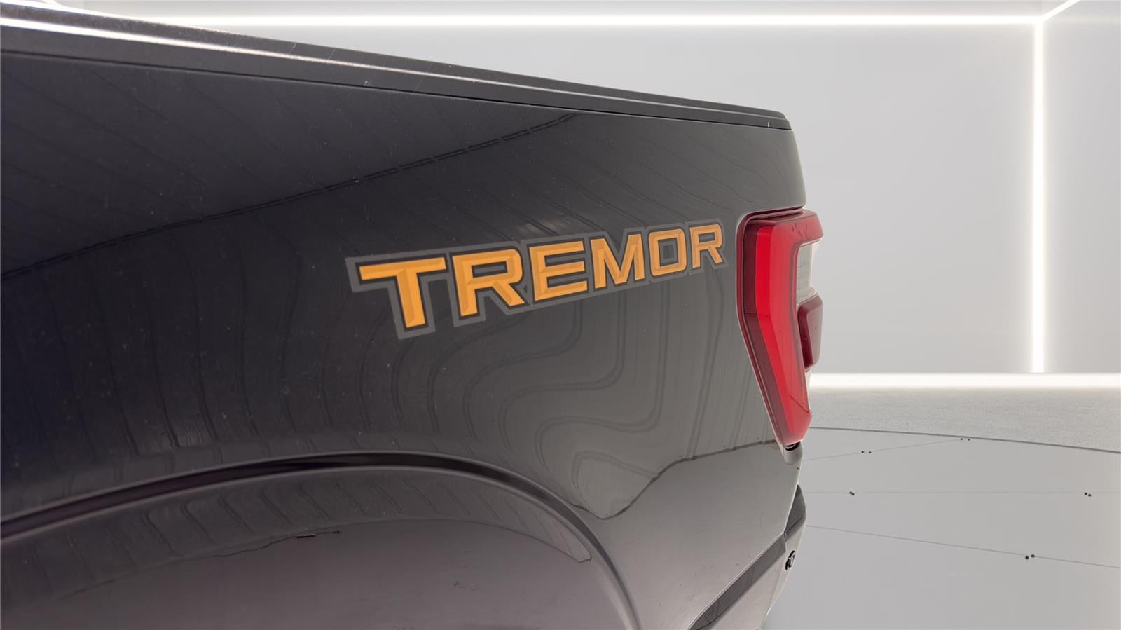 2021 Ford F-150 Tremor