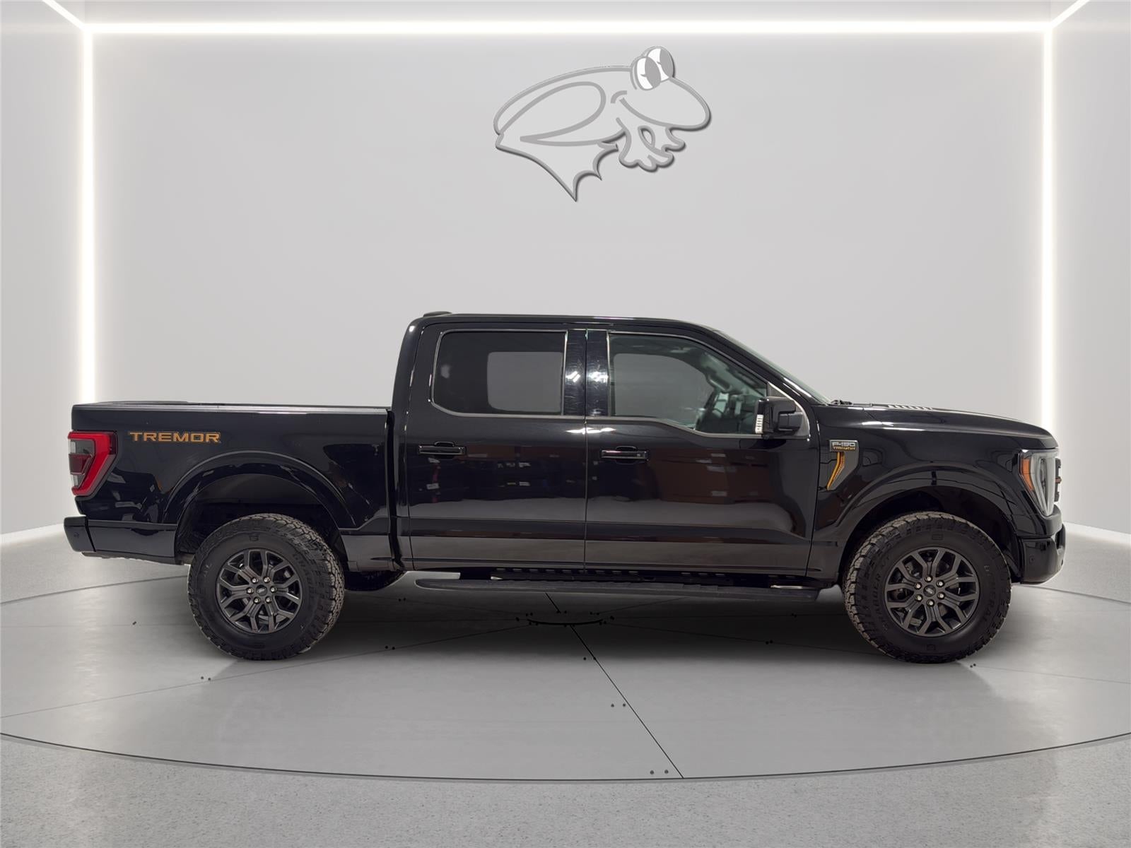 2021 Ford F-150 Tremor