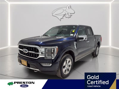 2022 Ford F-150 Platinum