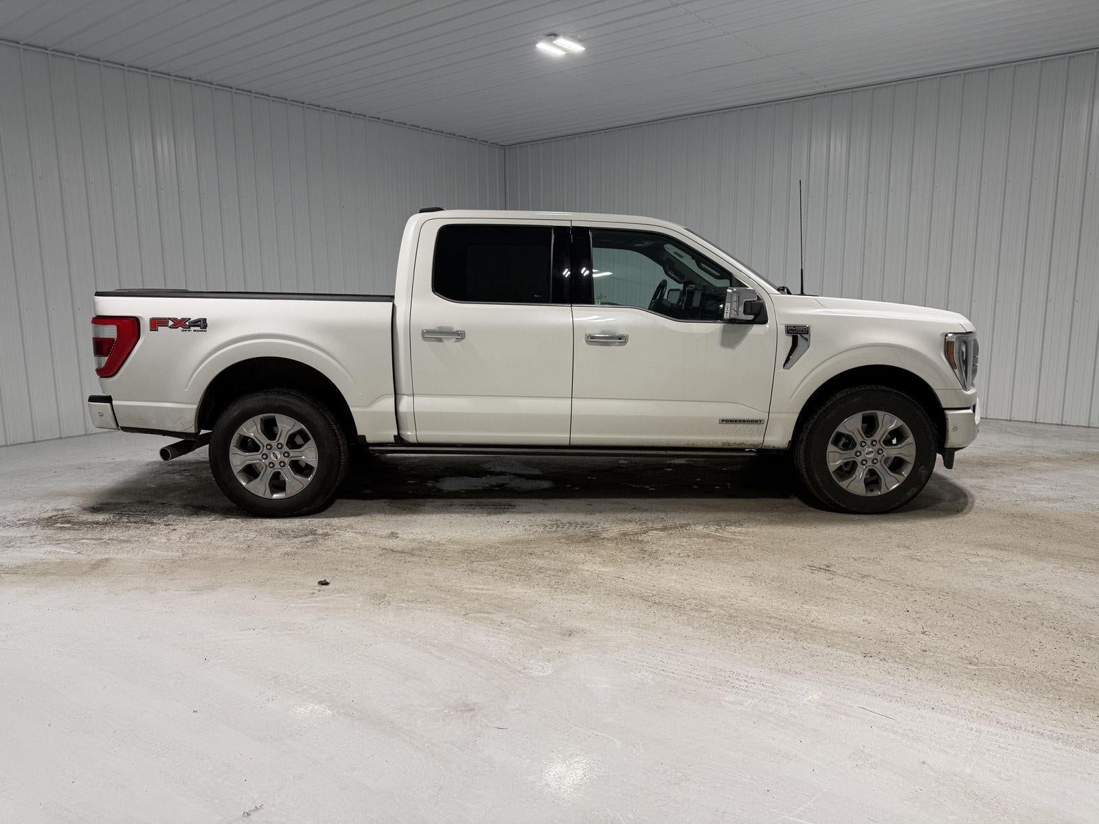 2023 Ford F-150 Platinum